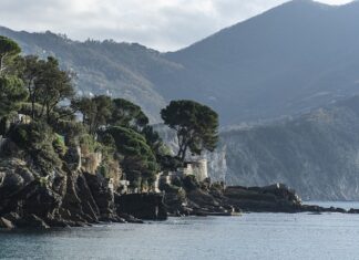 Ile kosztuje korzystanie z ChatGPT?