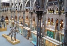 Ile kosztuje rok studiów na Oxfordzie?