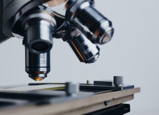 Dlaczego warto organizować imprezy firmowe?