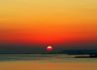 Czy warto inwestować w startupy?