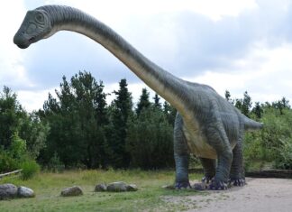 Co to jest triada kolory? Co to jest triada kolory?