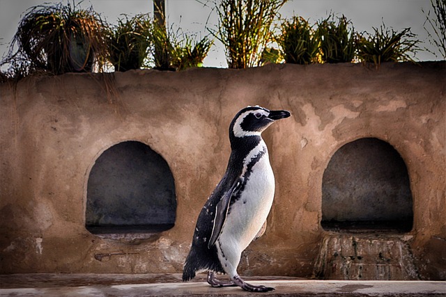 Ile lat trwają studia na Oxfordzie? Ile lat trwają studia na Oxfordzie?